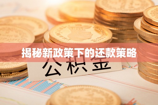 思南揭秘新政策下的还款策略