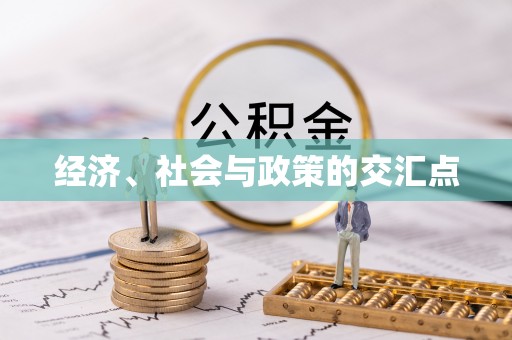 思南经济、社会与政策的交汇点
