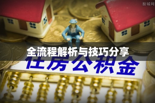 思南全流程解析与技巧分享