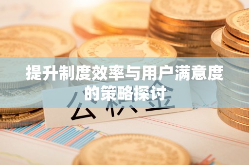 思南提升制度效率与用户满意度的策略探讨
